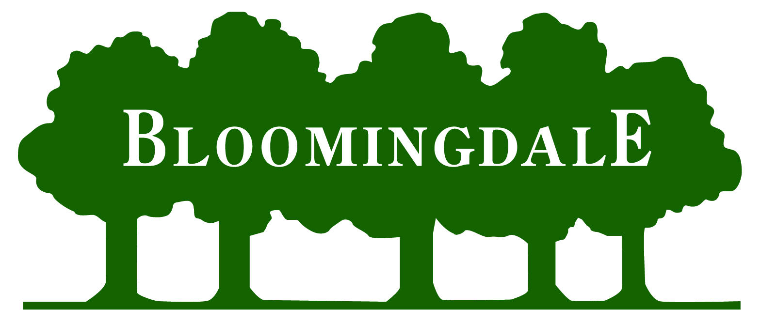 Bloomingdale Neighborhood Association