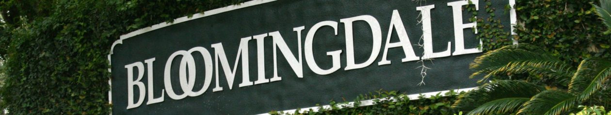 BLOOMINGDALE NEIGHBORHOOD ASSOCIATION